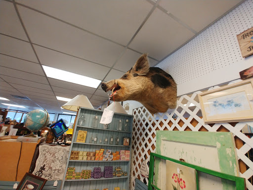 Flea Market «Fort Walton Beach Flea Market», reviews and photos, 125 Eglin Pkwy SE, Fort Walton Beach, FL 32548, USA