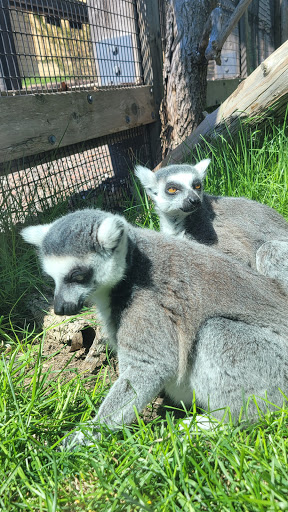 Zoo «Lake Superior Zoo», reviews and photos, 7210 Fremont St, Duluth, MN 55807, USA