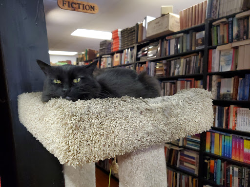 Used Book Store «Recycle Bookstore», reviews and photos, 1066 The Alameda, San Jose, CA 95126, USA