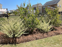 Dreams Come True Landscaping - Photo 2 - Car repair in , Raleigh