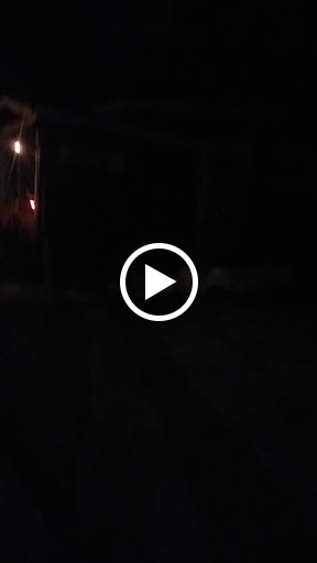 Florist «Tulipomania LLC», reviews and photos, 319 E Howard Ave, Milwaukee, WI 53207, USA