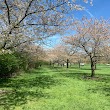 Cleveland Metroparks Brookside Reservation