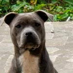 Photo n° 1 de l'avis de Sabrina.a fait le 13/10/2023 à 10:57 pour Anovet. Clinique vétérinaire pour animaux de compagnie. à Condé-sur-Sarthe