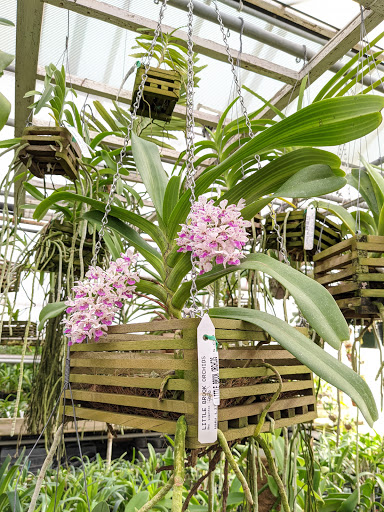 Florist «Little Brook Orchids», reviews and photos, 25 Rider Ave, Lancaster, PA 17603, USA