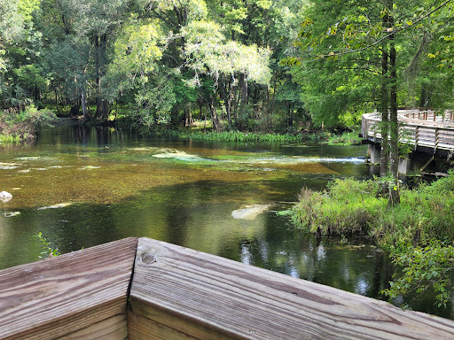 Nature Preserve «Crystal Springs Preserve», reviews and photos, 1609 Crystal Springs Rd, Crystal Springs, FL 33524, USA
