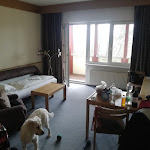 Photo n°1 de l'avis de Daniel. fait le 24/02/2023 à 16:58 sur le  Wagners Hotel Schönblick à Fichtelberg