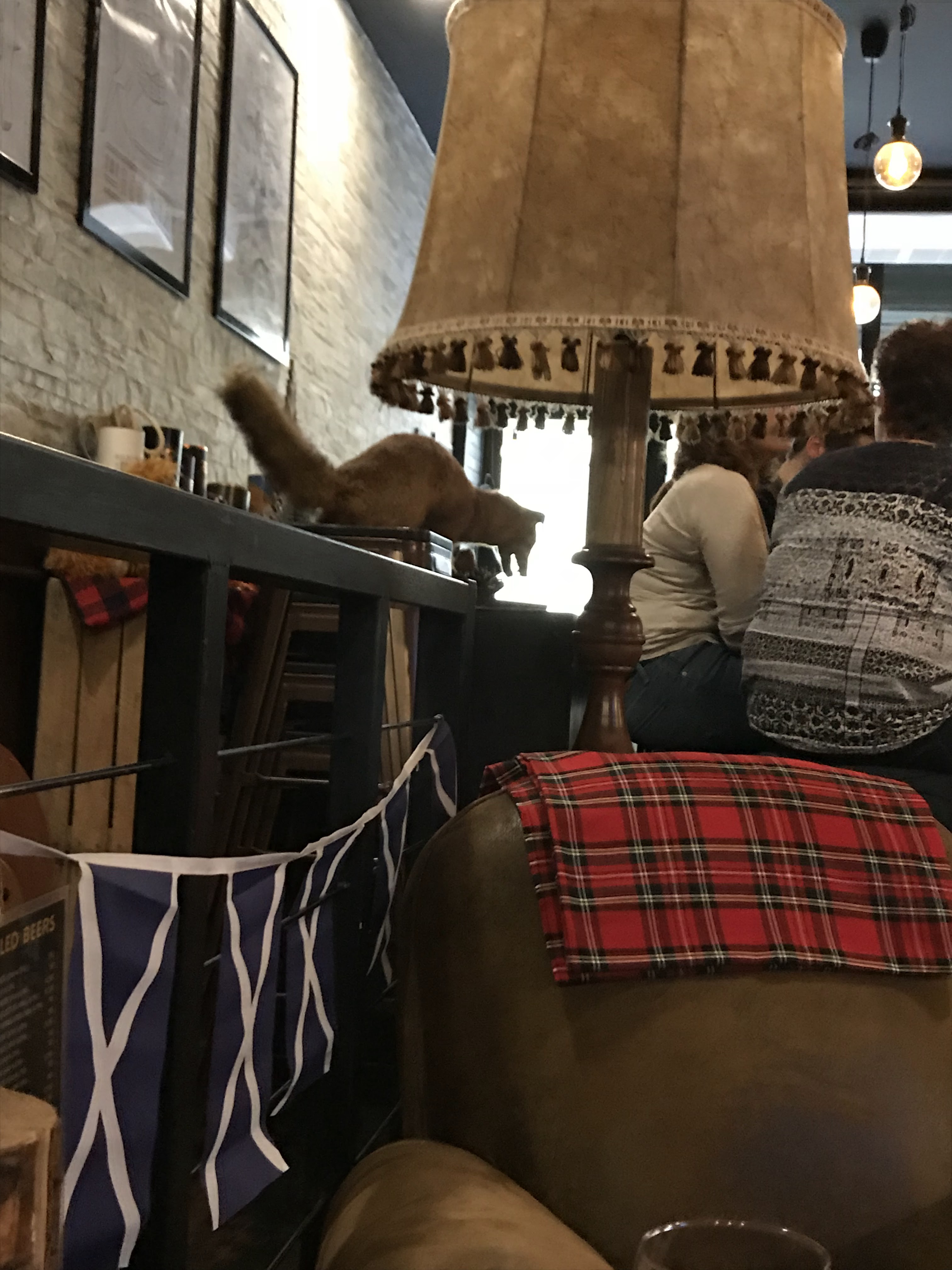Photo n° 1 de l'avis de Rikkie.u fait le 17/04/2018 à 14:28