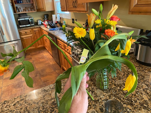 Skin Care Clinic «Fredericksburg Flowers», reviews and photos, 2091 Jefferson Davis Hwy, Fredericksburg, VA 22401, USA