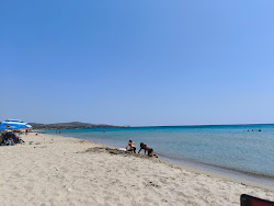 Cesme Altinkum Plaj'in fotoğrafı - rahatlamayı sevenler arasında popüler bir yer