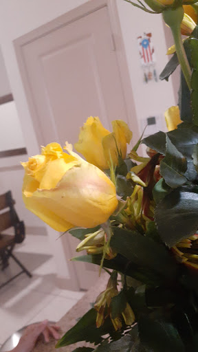 Florist «Amazon Flowers», reviews and photos, 6730 SW 20th Ct, Miramar, FL 33023, USA