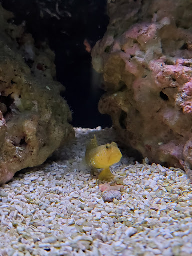 Tropical Fish Store «Marine Oasis», reviews and photos, 5340 W Ridge Rd, Spencerport, NY 14559, USA