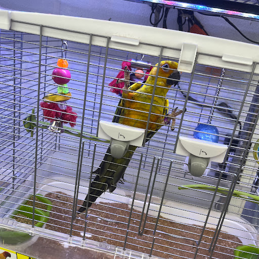 Pet Store «B & B Pet Stop, Inc.», reviews and photos, 5035 Cottage Hill Rd, Mobile, AL 36609, USA