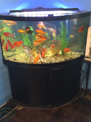 Pet Store «Woofs & Waves», reviews and photos, 5426 Arrowhead Pkwy E, Sioux Falls, SD 57110, USA