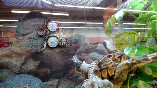 Pet Supply Store «Petco Animal Supplies», reviews and photos, 308 E Meighan Blvd, Gadsden, AL 35903, USA