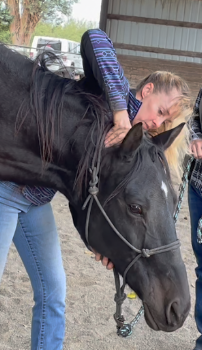 Petworks - Photo 8 - Car repair in Westport, CT, Bridgeport