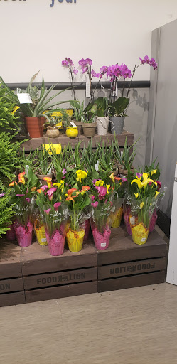 Grocery Store «Food Lion», reviews and photos, 501 W Main St, Middletown, DE 19709, USA