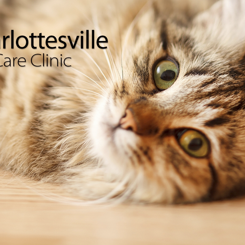 Charlottesville Cat Care Clinic