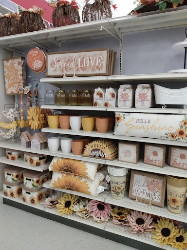 Craft Store «Michaels», reviews and photos, 1475 N Litchfield Rd, Goodyear, AZ 85338, USA