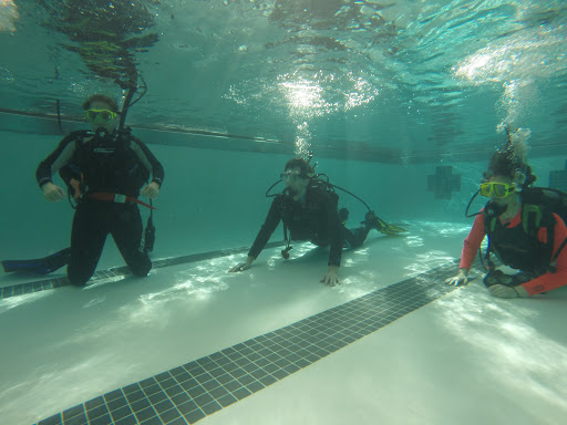 Dive Shop «Orbit Marine Sports Center Inc», reviews and photos, 3273 Fairfield Ave, Bridgeport, CT 06605, USA