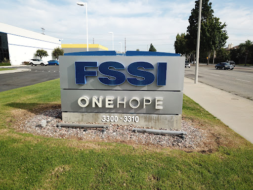 FSSI - Financial Statement Services Inc. image