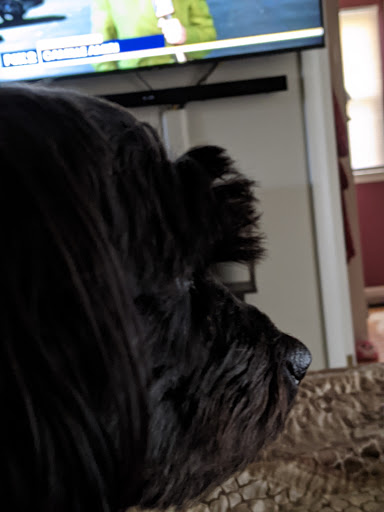 Pet Supply Store «PetSmart», reviews and photos, 2865 Oak Valley Dr, Ann Arbor, MI 48103, USA