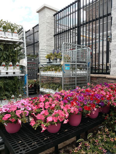 Department Store «Walmart Supercenter», reviews and photos, 6675 Business Center Dr, Highlands Ranch, CO 80130, USA