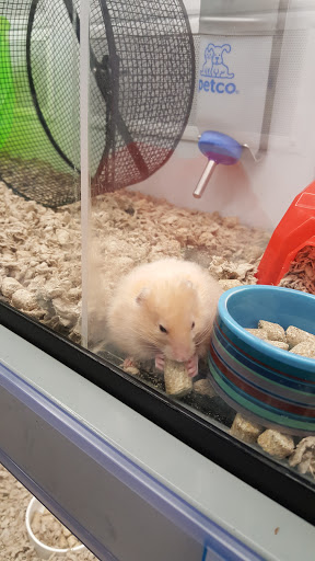 Pet Supply Store «Petco Animal Supplies», reviews and photos, 1011 University Blvd #100, Suffolk, VA 23435, USA