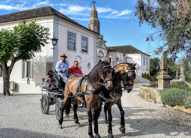 Quinta da Conceição Historic Country Retreat Horário de abertura