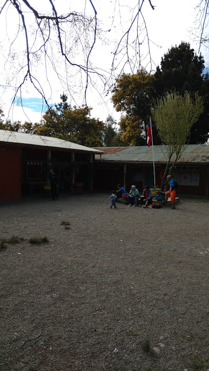Escuela Hueico Huentelar 154