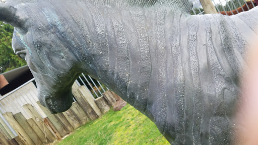 Zoo «Cougar Mountain Zoo», reviews and photos, 19525 SE 54th St, Issaquah, WA 98027, USA