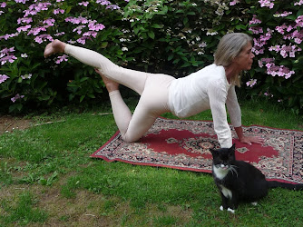 Yoga Opleiding De Cobra