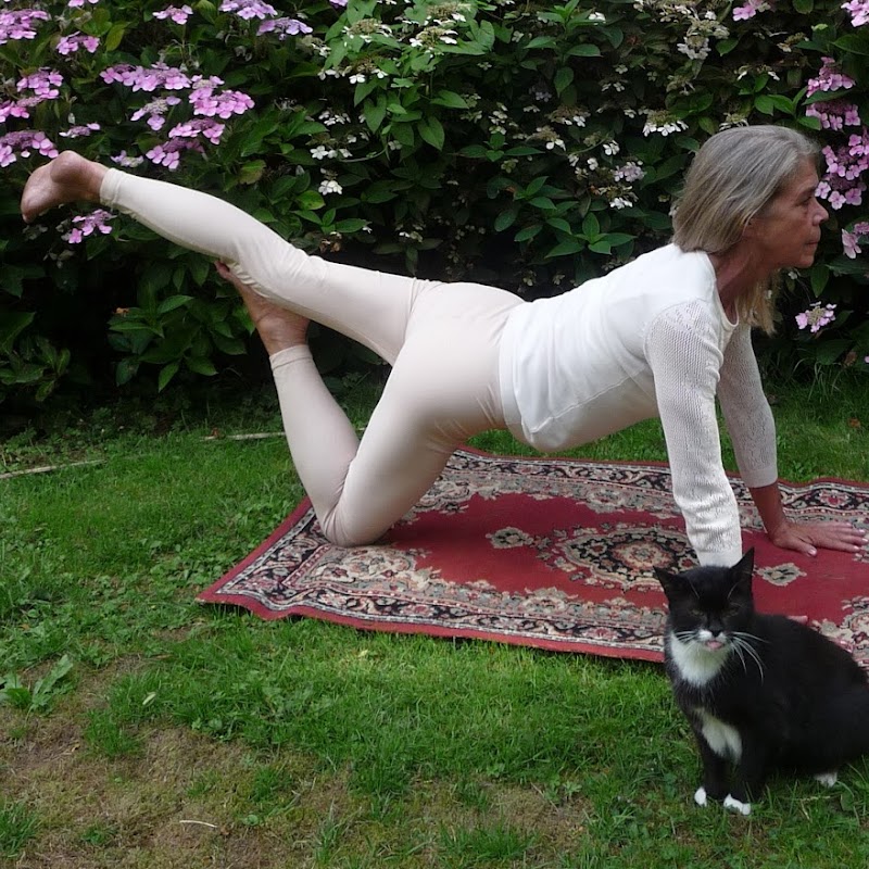 Yoga Opleiding De Cobra