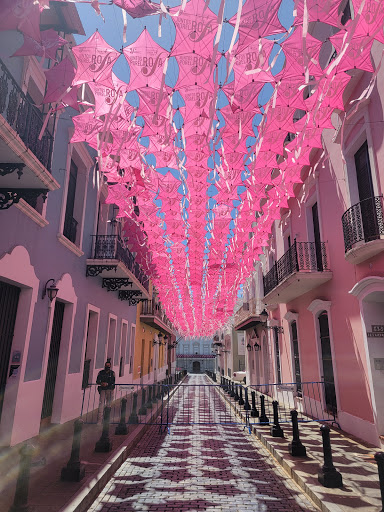 Umbrella street