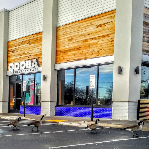 Mexican Restaurant «QDOBA Mexican Eats», reviews and photos, 3918 Lenox Avenue, Charlottesville, VA 22901, USA