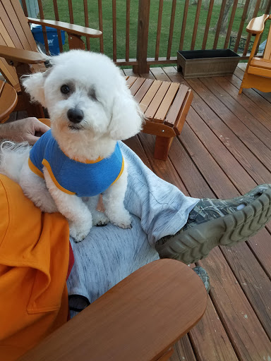 Pet Supply Store «PetSmart», reviews and photos, 5591 TN-153, Hixson, TN 37343, USA