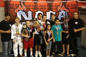 Aloisio Silva Brazilian Jiu-Jitsu Academy TX image