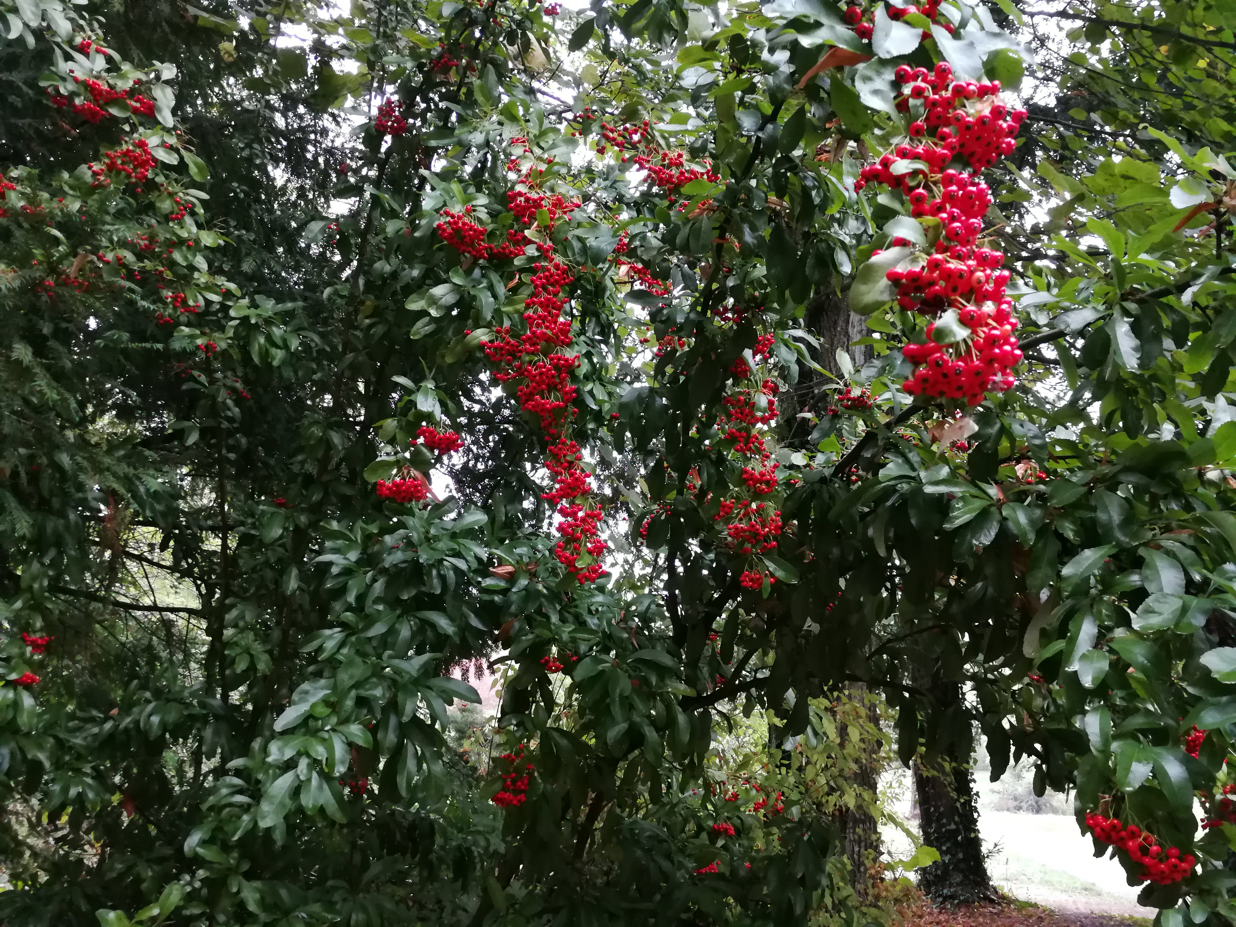Photo n° 2 de l'avis de Francoise.o fait le 30/08/2018 à 14:33