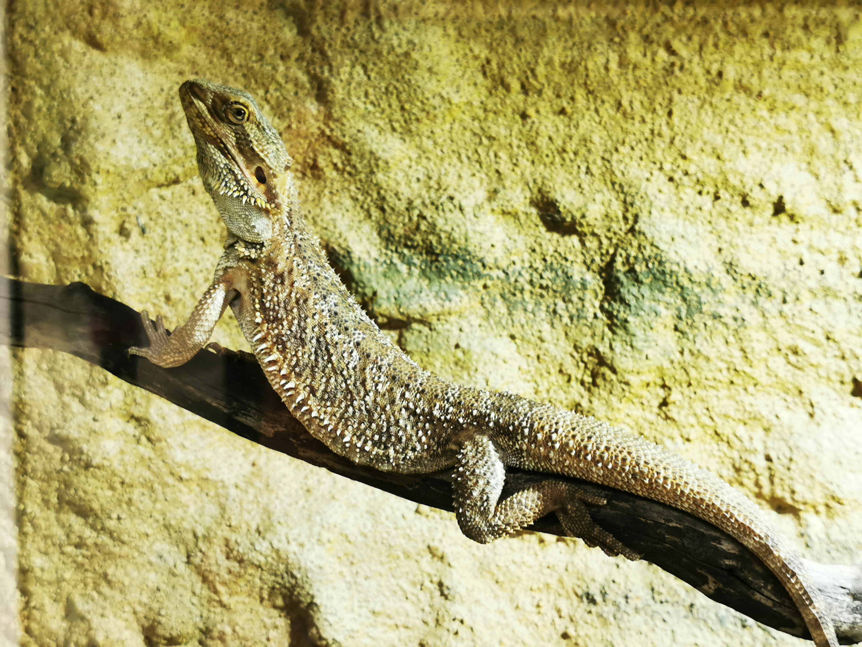 Photo n° 3 de l'avis de Aurelie.e fait le 03/08/2021 à 14:30