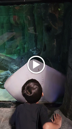 Aquarium «Aquarium of Boise», reviews and photos, 64 N Cole Rd, Boise, ID 83704, USA