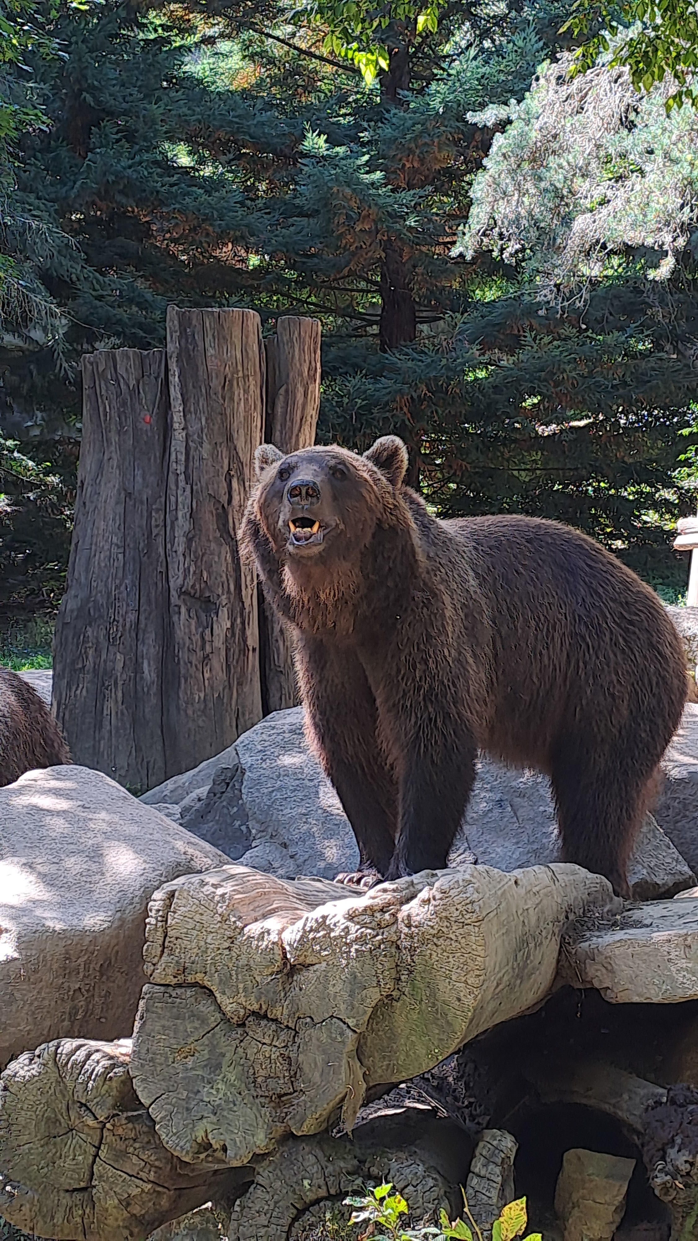 Photo n° 2 de l'avis de Mehdi. fait le 26/07/2023 à 20:11
