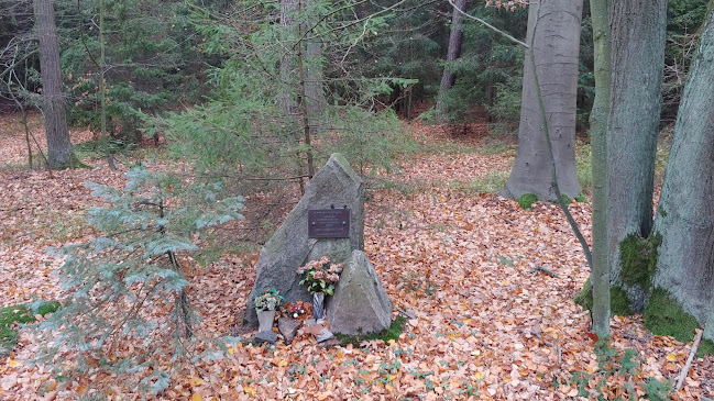 Pomník vojáka Rudé armády, Nikolaje Andrejeviče Žukova - Pardubice