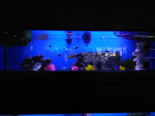 Pet Store «Discount Pets & Supplies», reviews and photos, 211 Hancock Bridge Pkwy, Cape Coral, FL 33990, USA