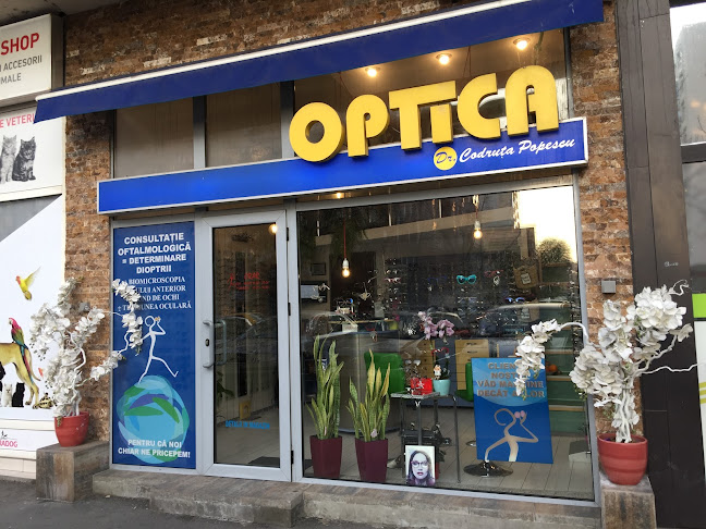 optica Dr. Codruța Popescu - Optica