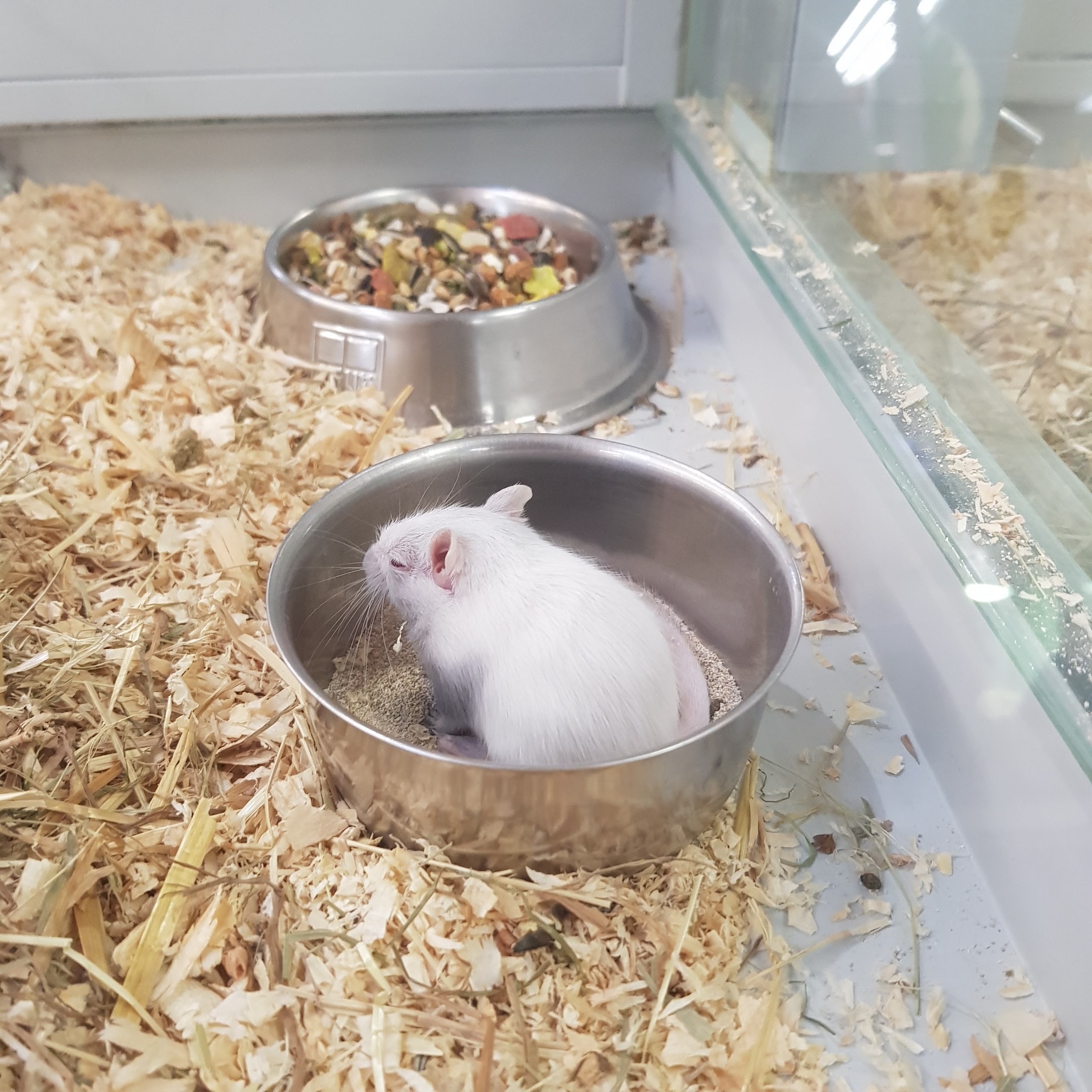 Photo n° 7 de l'avis de Oxy.o fait le 13/08/2018 à 15:30