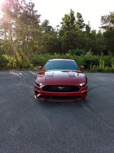 Ford Dealer «Quality Motor Company», reviews and photos, 1242 S Madison St, Whiteville, NC 28472, USA