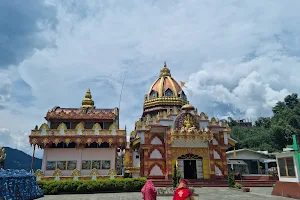 Shree Vishwa Vinayak Temple image
