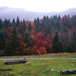 Photo n°13 de l'avis de Luca.a fait le 22/10/2019 à 10:36 sur le  Malga Valli à Barcis