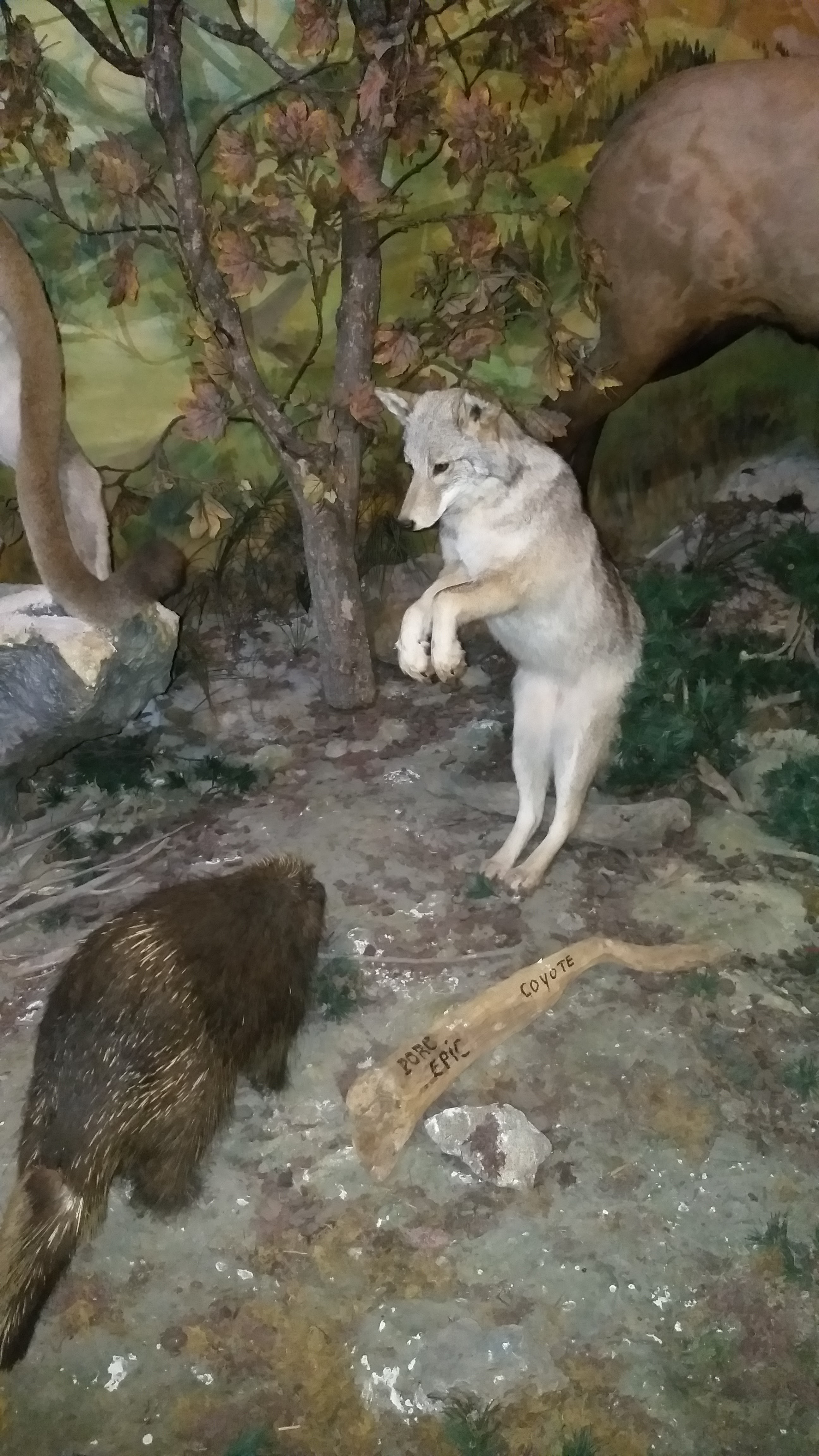 Photo n° 5 de l'avis de yannick.o fait le 30/07/2021 à 12:28