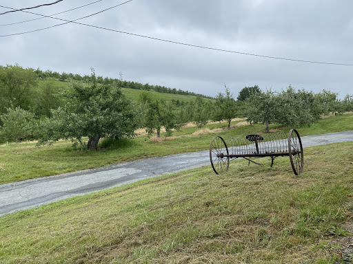 Orchard «Autumn Hills Orchard», reviews and photos, 495 Chicopee Row, Groton, MA 01450, USA