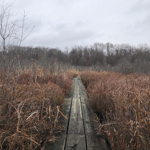 Nature Preserve «Mud Lake Bog Nature Preserve», reviews and photos, 905 E Elm Valley Rd, Buchanan, MI 49107, USA